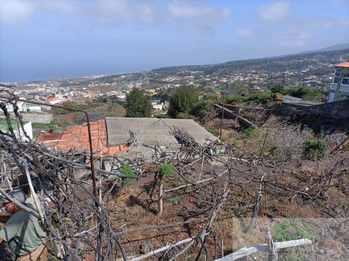 1 Zimmer Finca/Landgut zu verkaufen in Icod de los Vinos - 54.000 € (Ref: 9879257)
