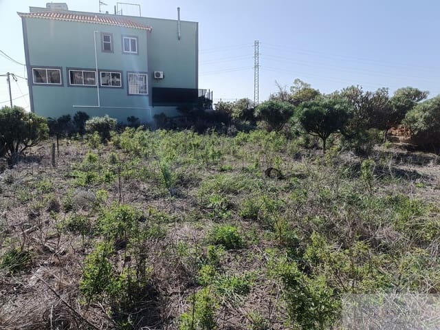 Terrain à Bâtir à vendre à Granadilla de Abona - 75 000 € (Ref: 9879261)