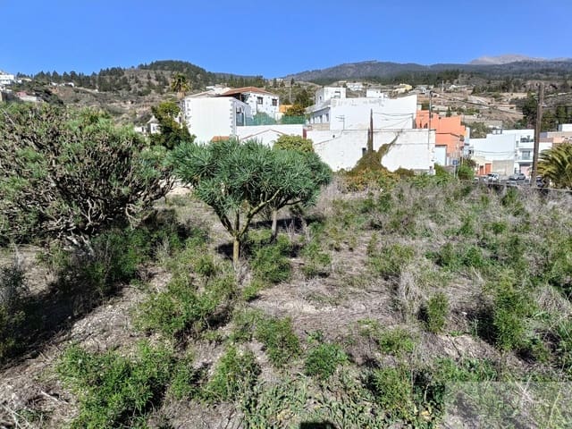 Terrain à Bâtir à vendre à Granadilla de Abona - 75 000 € (Ref: 9879261)
