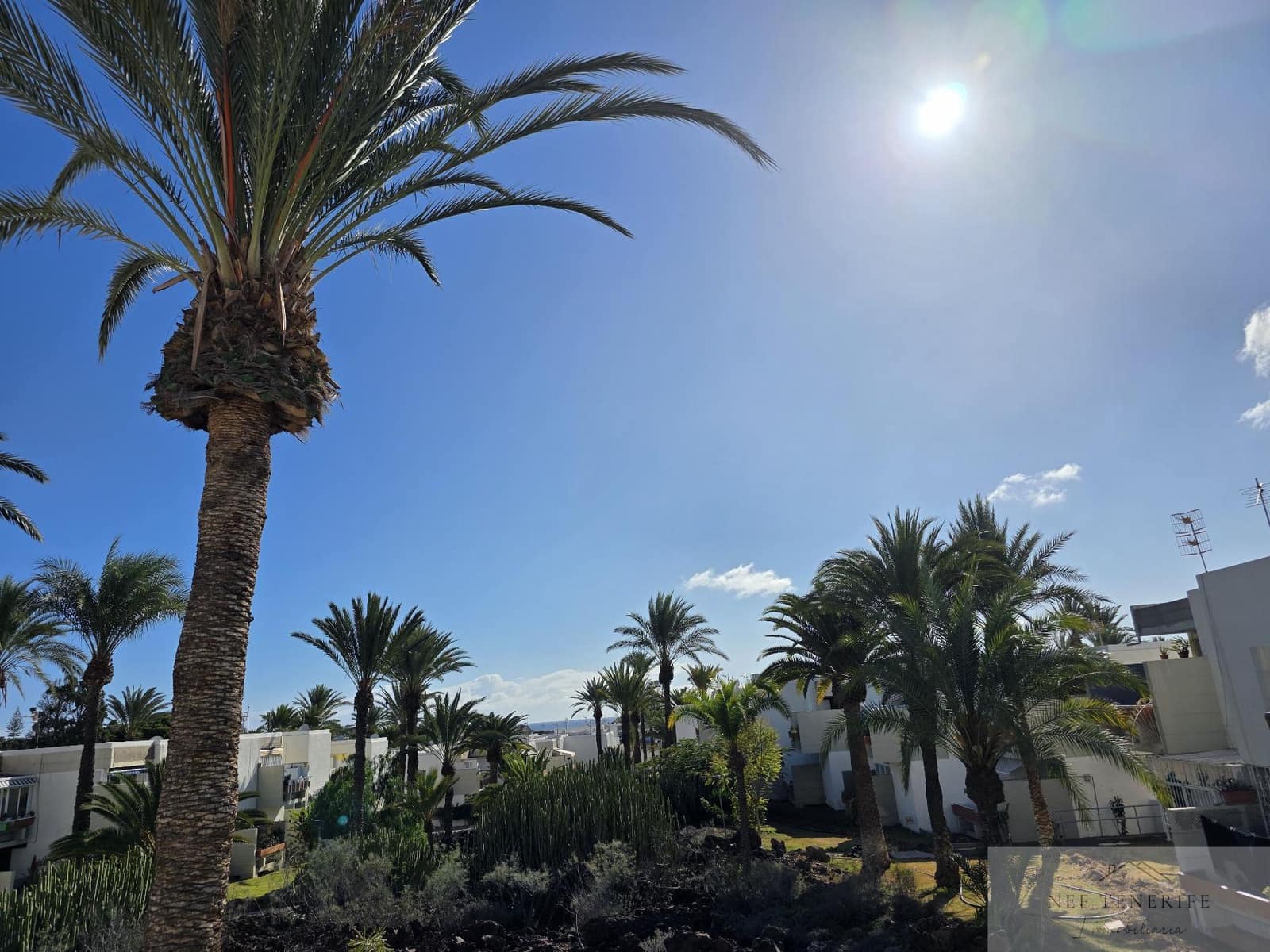 1 bedroom Apartment for sale in Costa del Silencio - € 184,000 (Ref: 9879268)