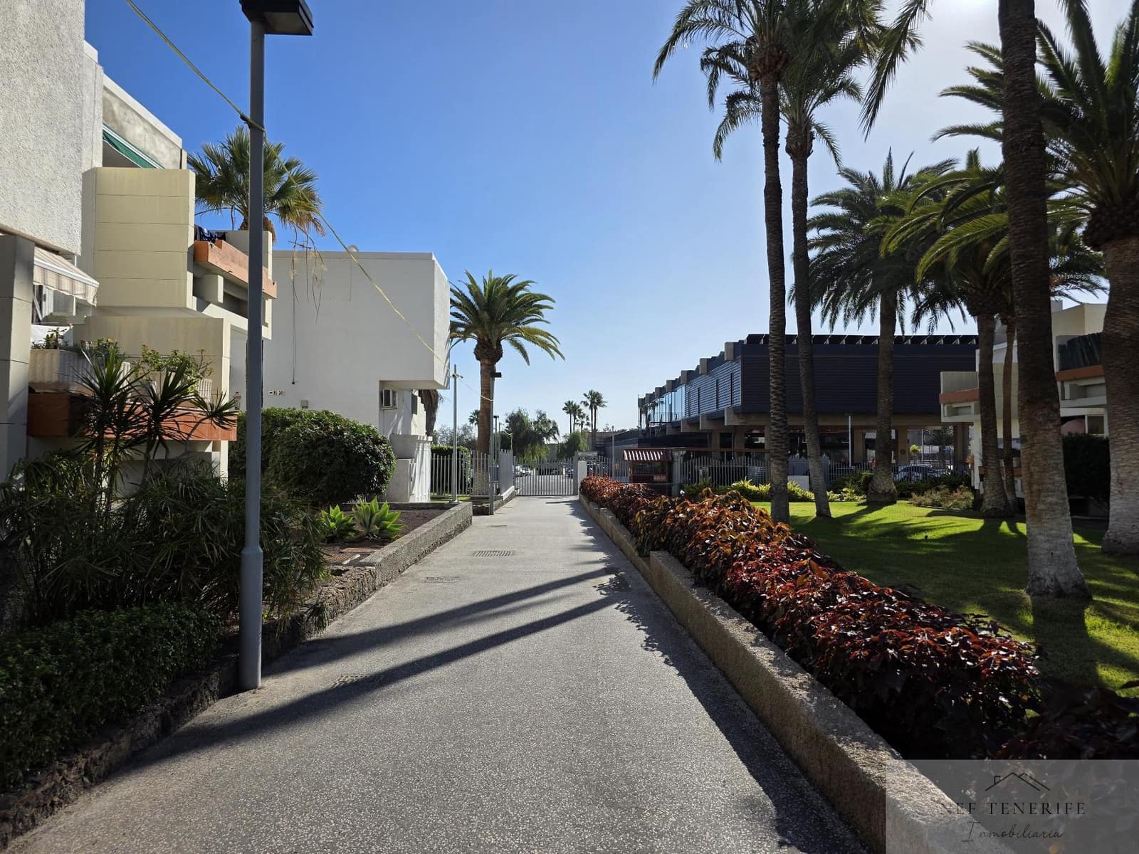 1 bedroom Apartment for sale in Costa del Silencio - € 184,000 (Ref: 9879268)