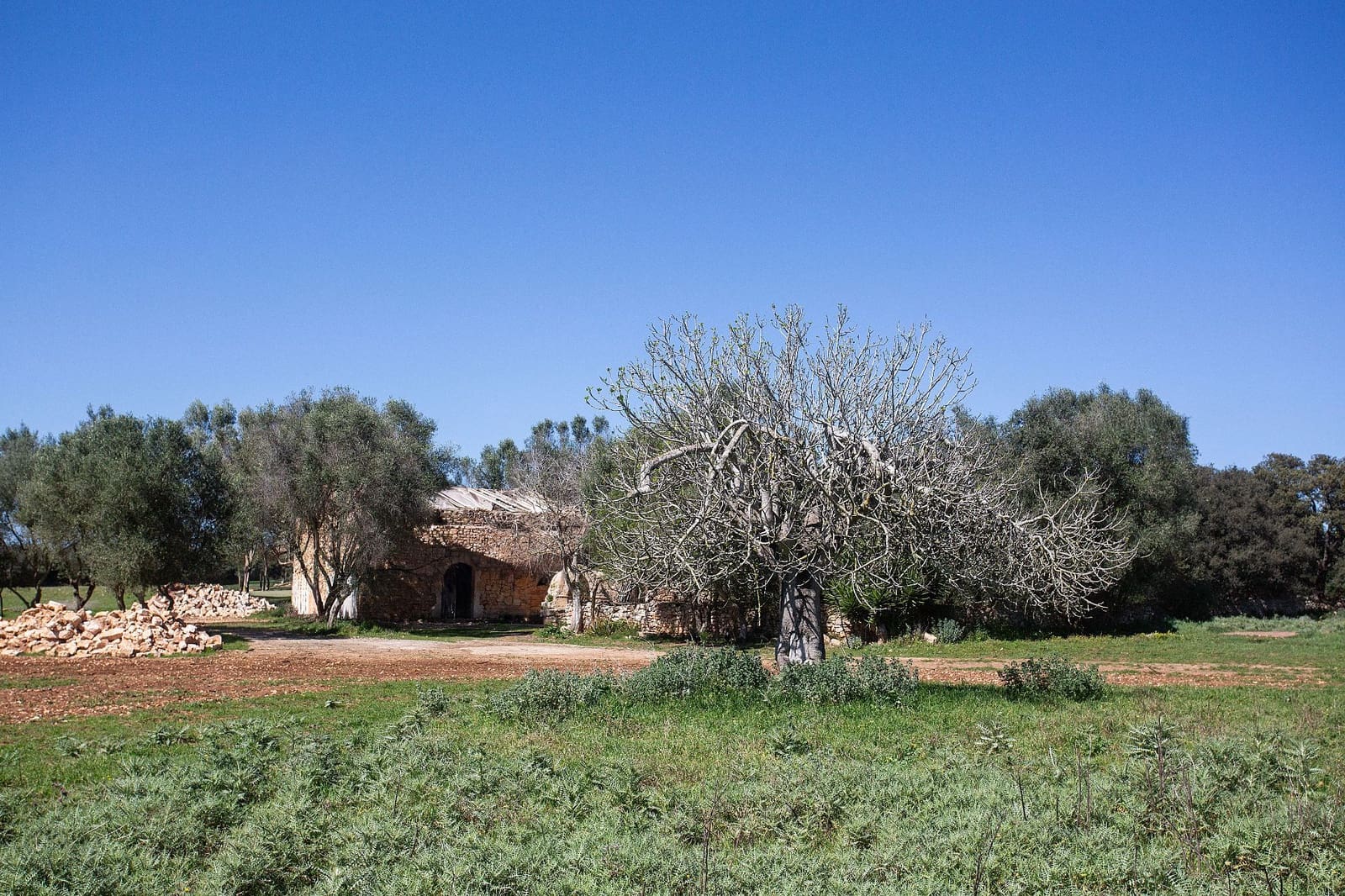 4 bedroom Finca/Country House for sale in Sant Llorenc des Cardassar - € 799,990 (Ref: 9715323)