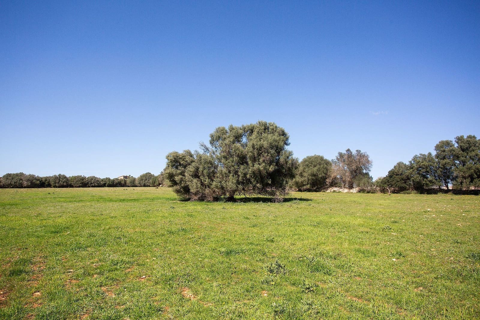 4 bedroom Finca/Country House for sale in Sant Llorenc des Cardassar - € 799,990 (Ref: 9715323)