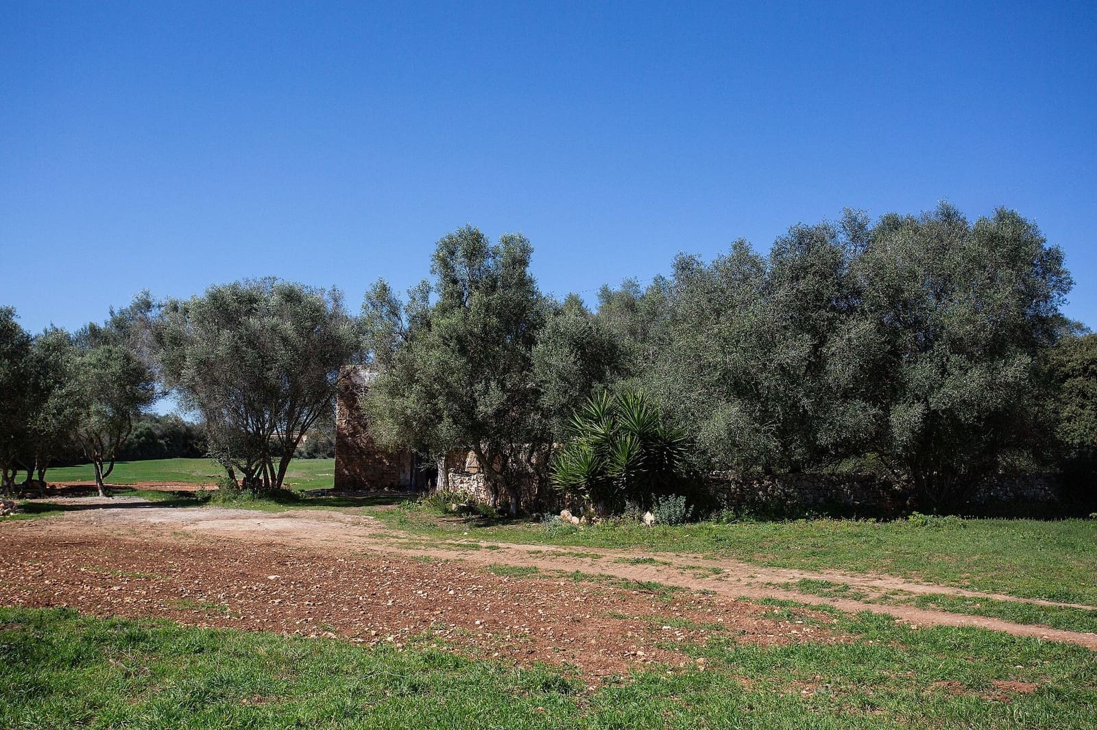 4 bedroom Finca/Country House for sale in Sant Llorenc des Cardassar - € 799,990 (Ref: 9715323)