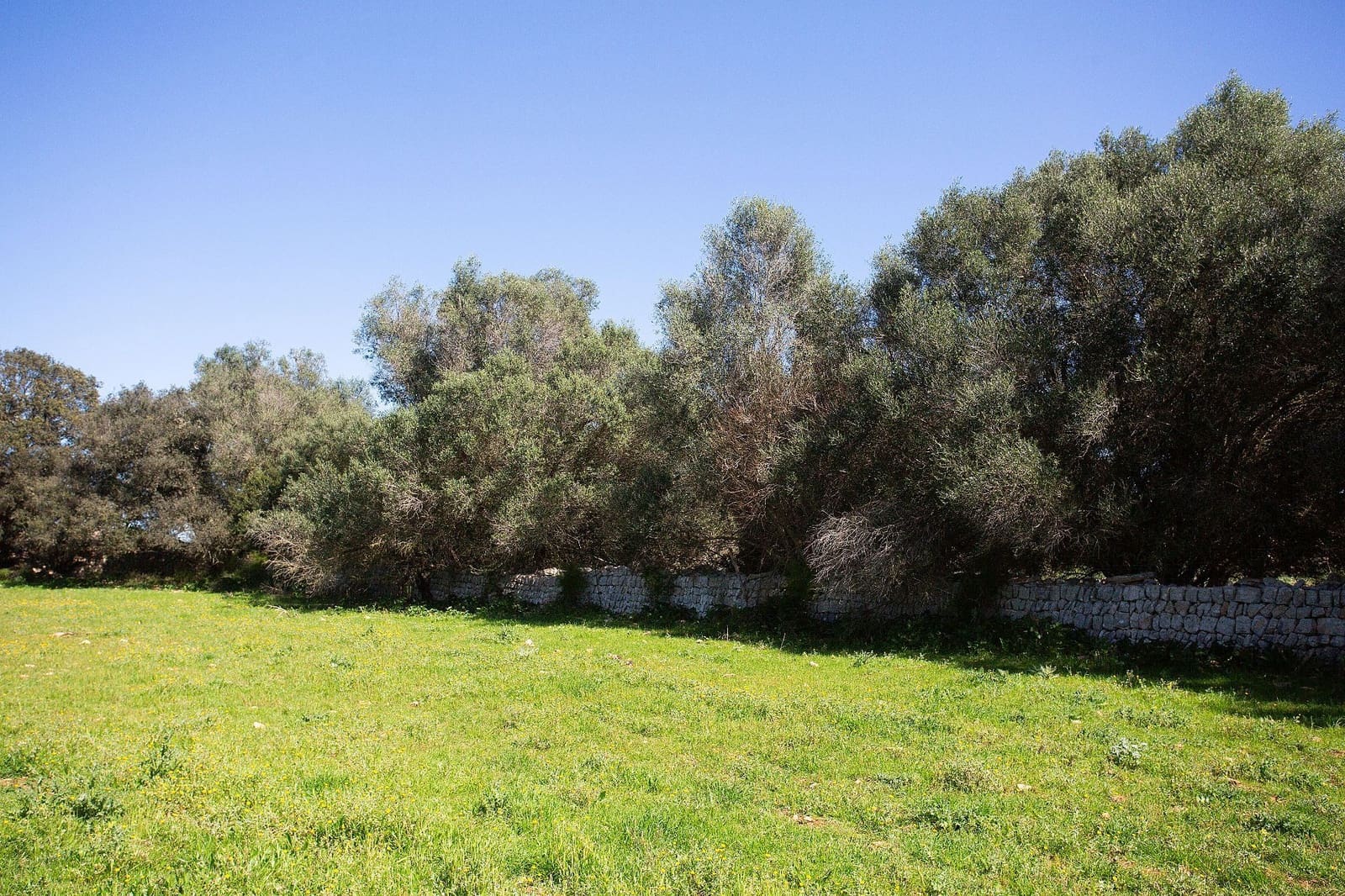 4 bedroom Finca/Country House for sale in Sant Llorenc des Cardassar - € 799,990 (Ref: 9715323)