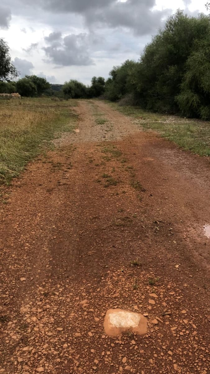 Finca/Country House for sale in Manacor - € 390,000 (Ref: 9721132)