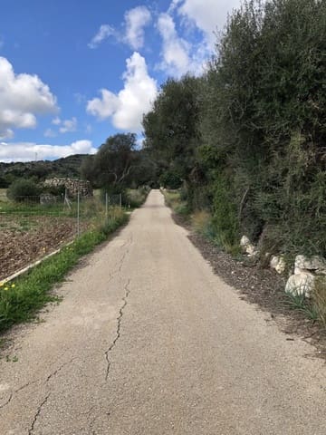 Grunde uden byggetilladelser til salg i Son Servera - € 449.000 (Ref: 9721136)