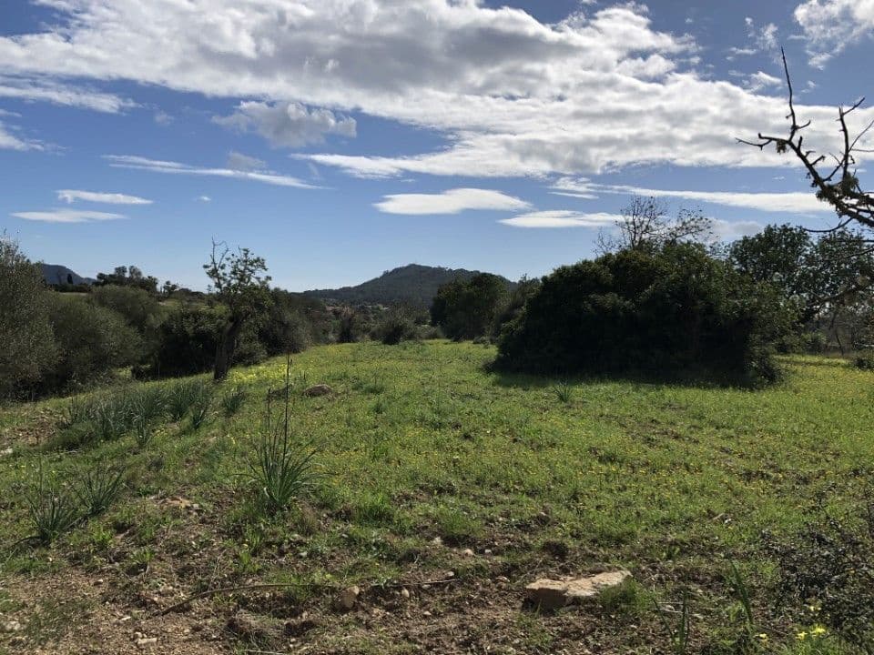 Grunde uden byggetilladelser til salg i Son Servera - € 449.000 (Ref: 9721136)