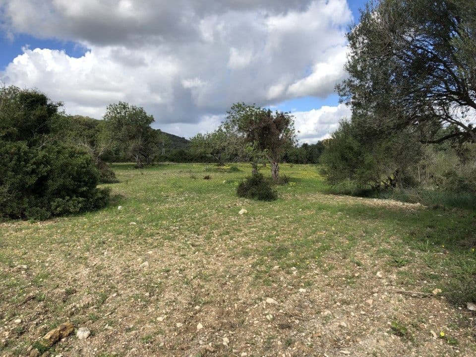 Grunde uden byggetilladelser til salg i Son Servera - € 449.000 (Ref: 9721136)