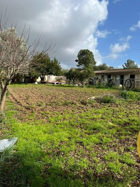 3 quarto Quinta/Casa Rural para venda em Manacor com piscina - 595 000 € (Ref: 9740240)