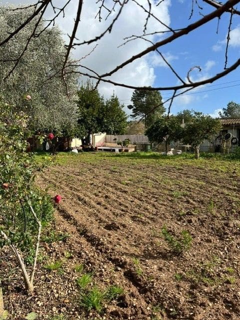 3 quarto Quinta/Casa Rural para venda em Manacor com piscina - 595 000 € (Ref: 9740240)