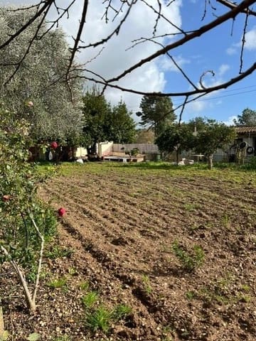 3 quarto Quinta/Casa Rural para venda em Manacor com piscina - 595 000 € (Ref: 9740240)