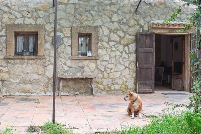 4 bedroom Villa for sale in Manacor - € 565,000 (Ref: 9740242)