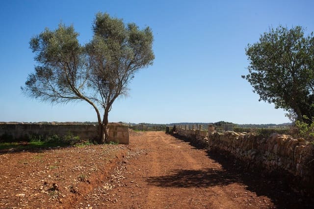 Finca/Casa Rural de 4 habitaciones en Sant Llorenç des Cardassar en venta - 799.990 € (Ref: 9740246)