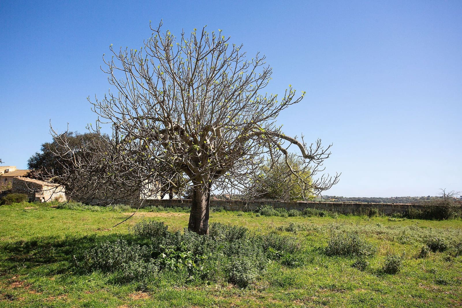 4 bedroom Finca/Country House for sale in Sant Llorenc des Cardassar - € 799,990 (Ref: 9740246)