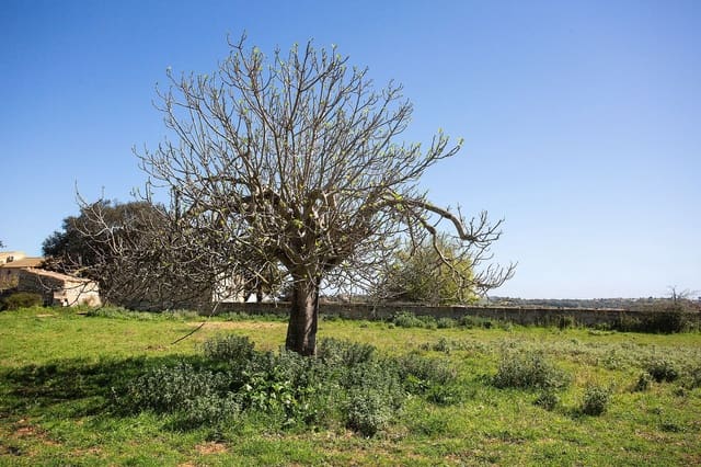 Finca/Casa Rural de 4 habitaciones en Sant Llorenç des Cardassar en venta - 799.990 € (Ref: 9740246)