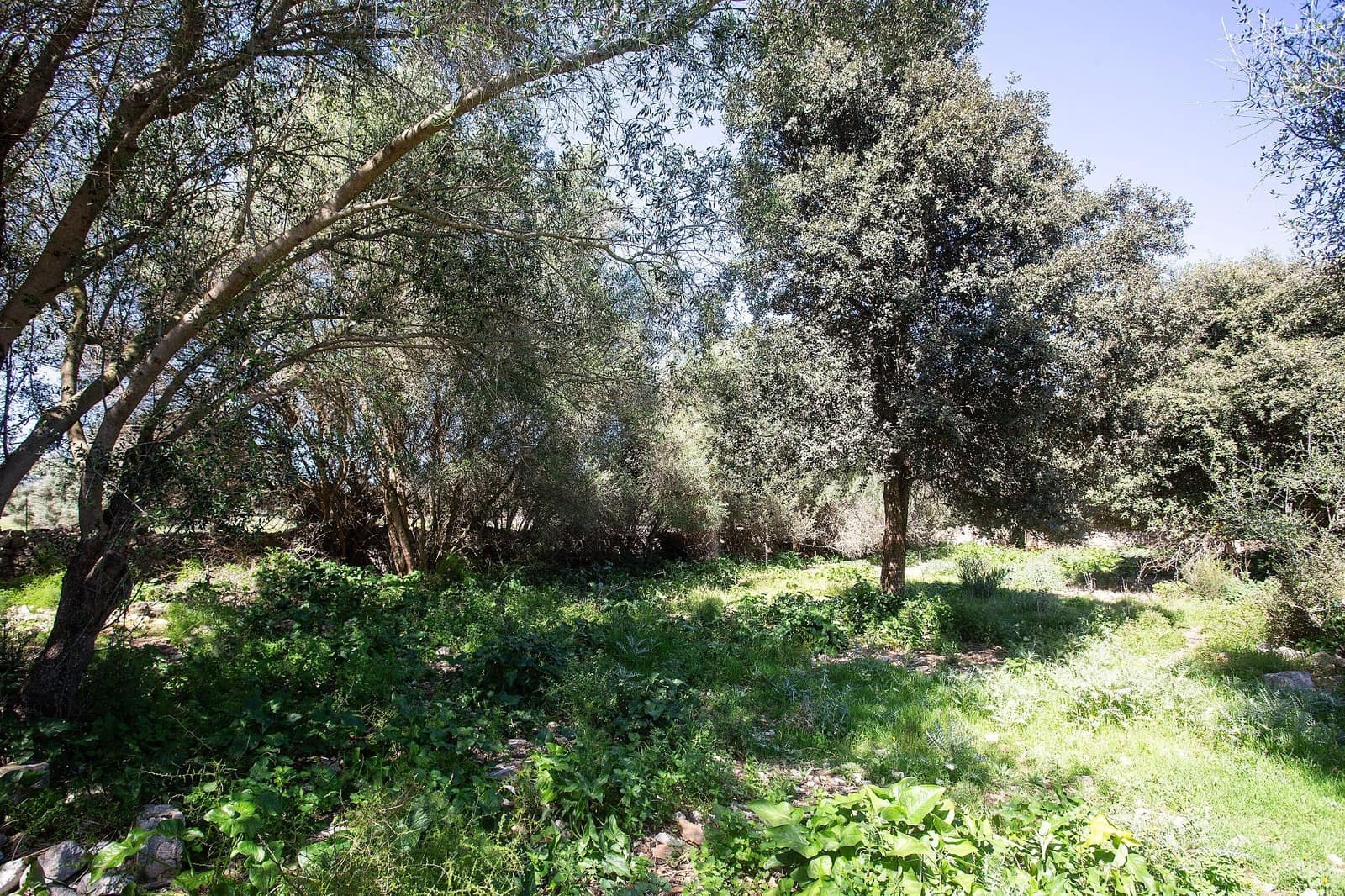 4 bedroom Finca/Country House for sale in Sant Llorenc des Cardassar - € 799,990 (Ref: 9740246)