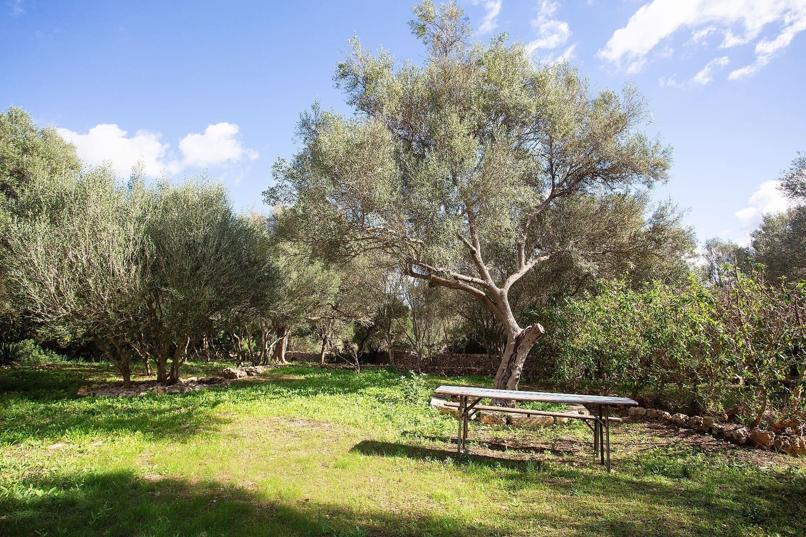 5 bedroom Finca/Country House for sale in Costitx with pool - € 1,800,000 (Ref: 9740249)