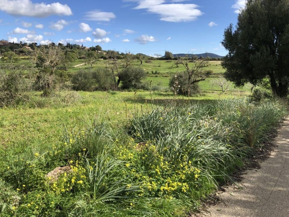 Teren niezagospodarowany na sprzedaż w Son Servera - 449 000 € (Ref: 9740262)