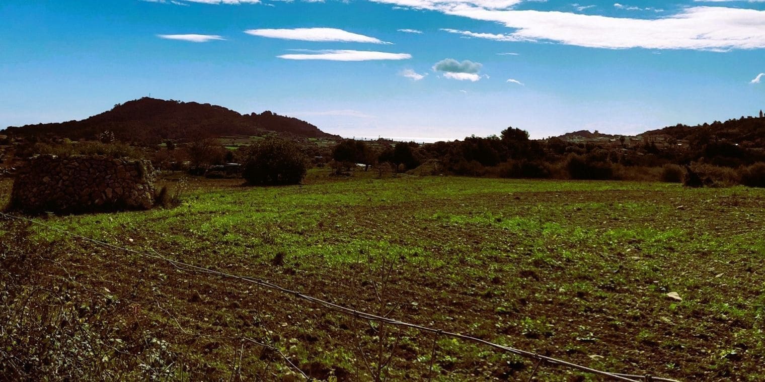 Teren niezagospodarowany na sprzedaż w Son Servera - 449 000 € (Ref: 9740262)