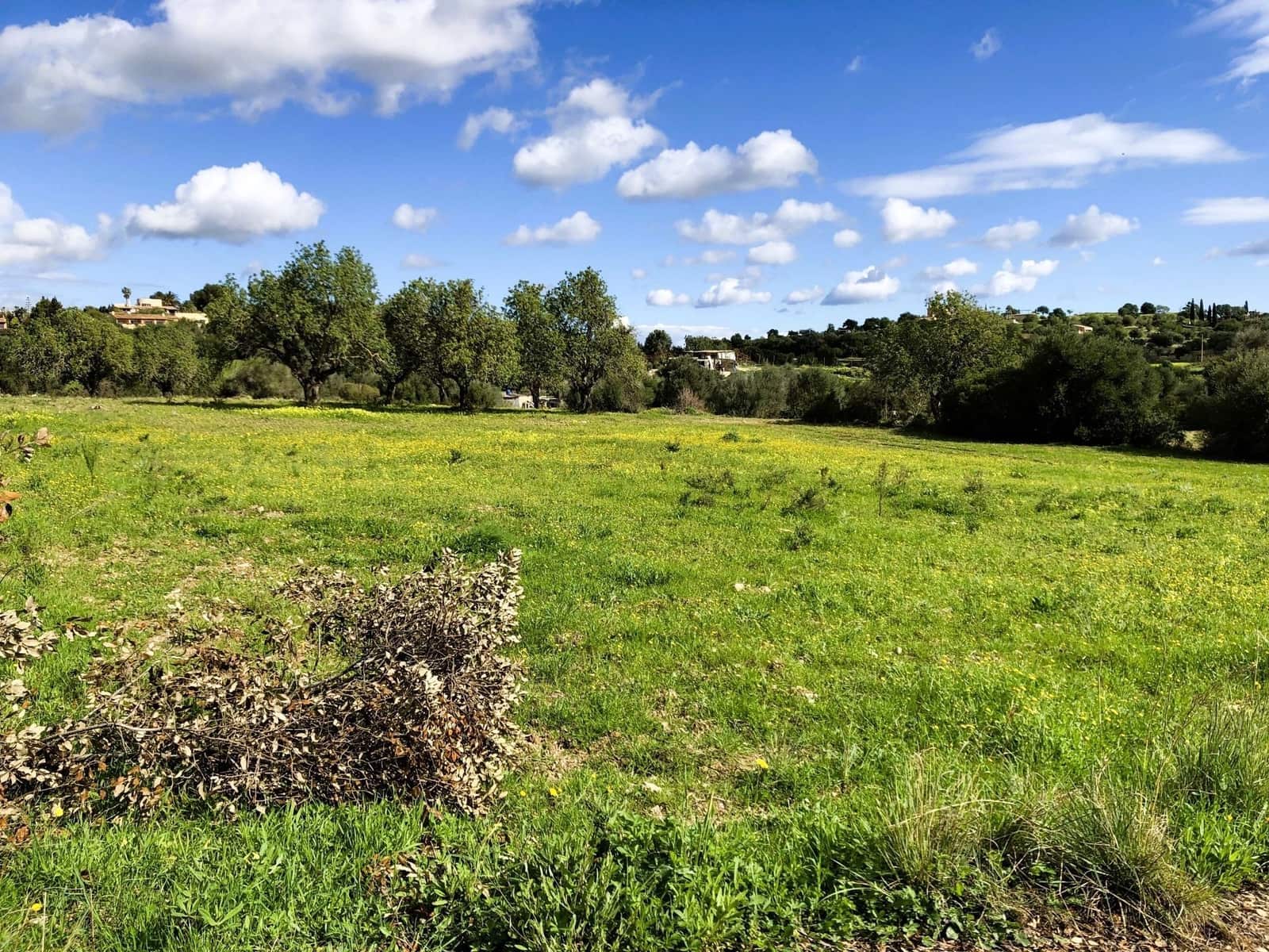 Teren niezagospodarowany na sprzedaż w Son Servera - 449 000 € (Ref: 9740262)