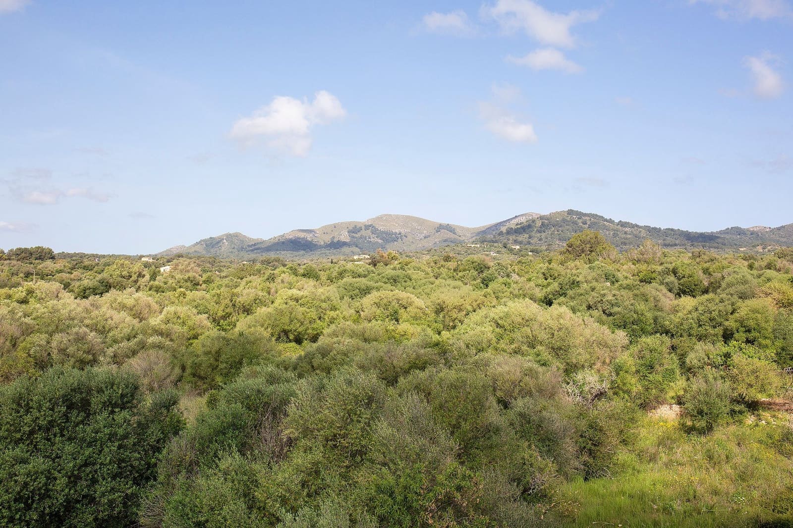3 Zimmer Penthouse zu vermieten in Arta mit Garage - 1.750 € (Ref: 9806108)