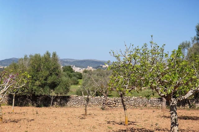 2 chambre Finca/Maison de Campagne à vendre à Artà avec piscine garage - 550 000 € (Ref: 9856340)