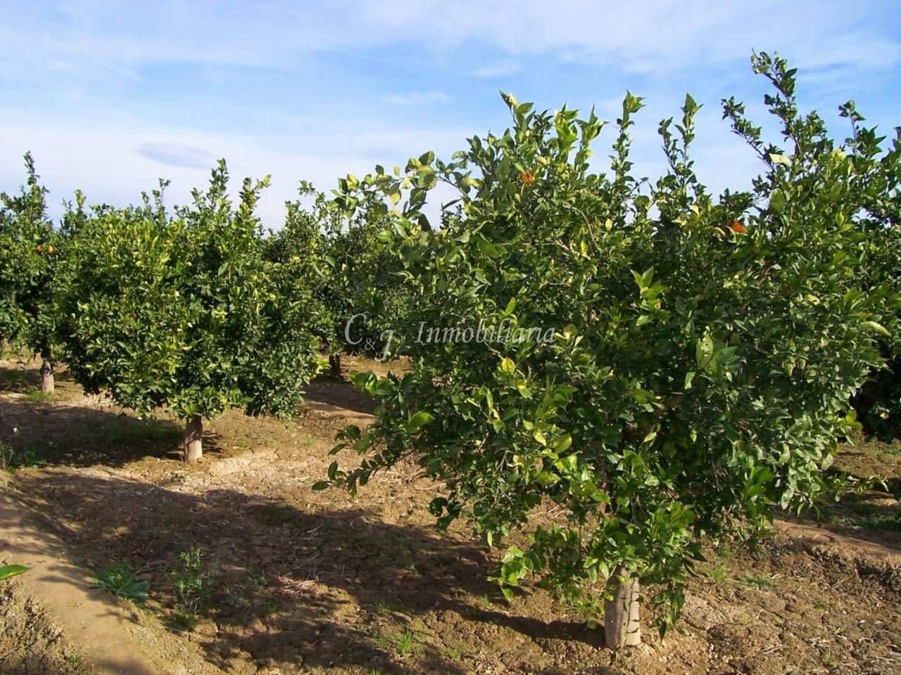 Grunde uden byggetilladelser til salg i Sagunto / Sagunt - € 16.000 (Ref: 9707747)