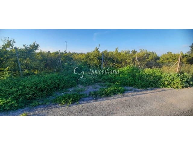 Undeveloped Land for sale in Sagunto / Sagunt - € 20,000 (Ref: 9714468)
