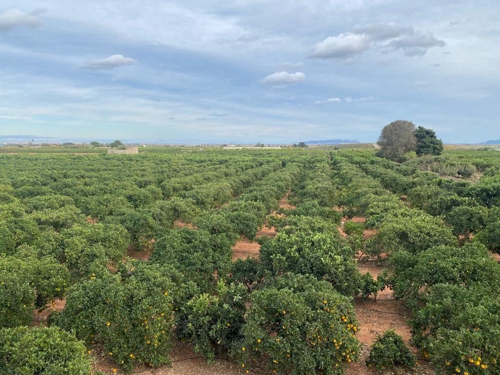 9 Zimmer Finca/Landgut zu verkaufen in Benifaio mit Pool Garage - 390.000 € (Ref: 9674638)