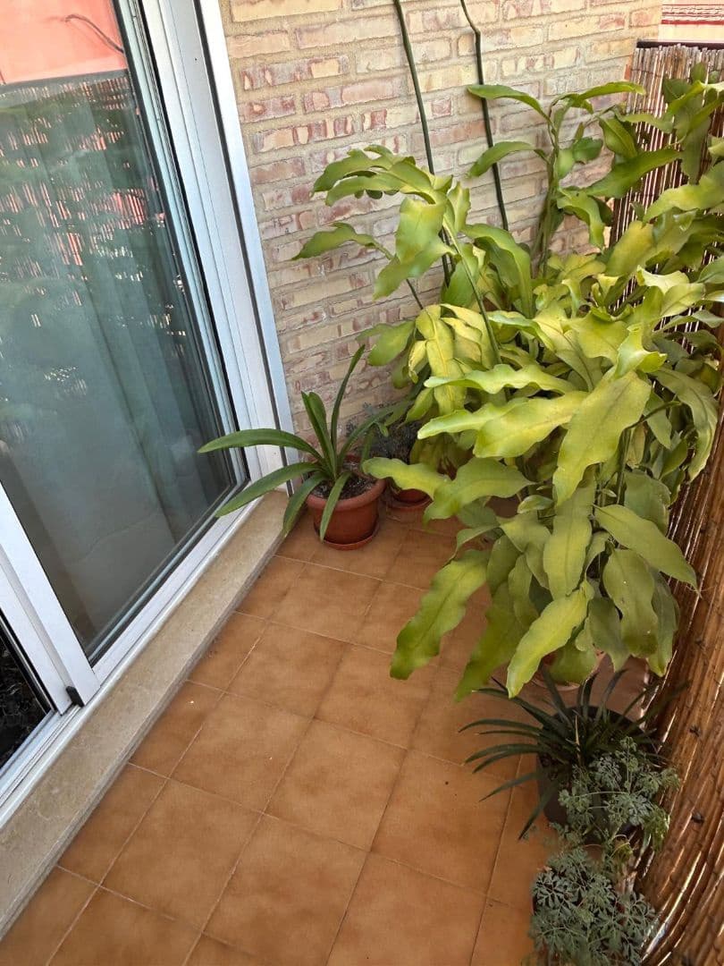 3 camera da letto Appartamento in vendita in Alginet - 160.000 € (Rif: 9674651)