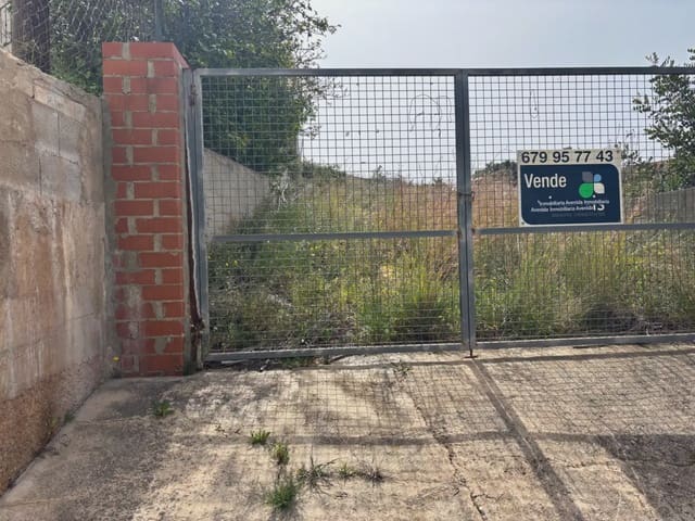 Byggetomt til salgs i Alginet - € 75 000 (Ref: 9772598)