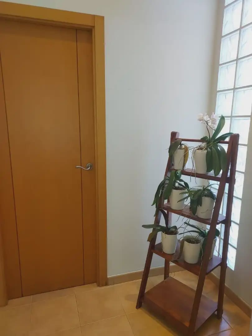 Casa de 4 habitaciones en Alginet en venta con garaje - 260.000 € (Ref: 9797389)