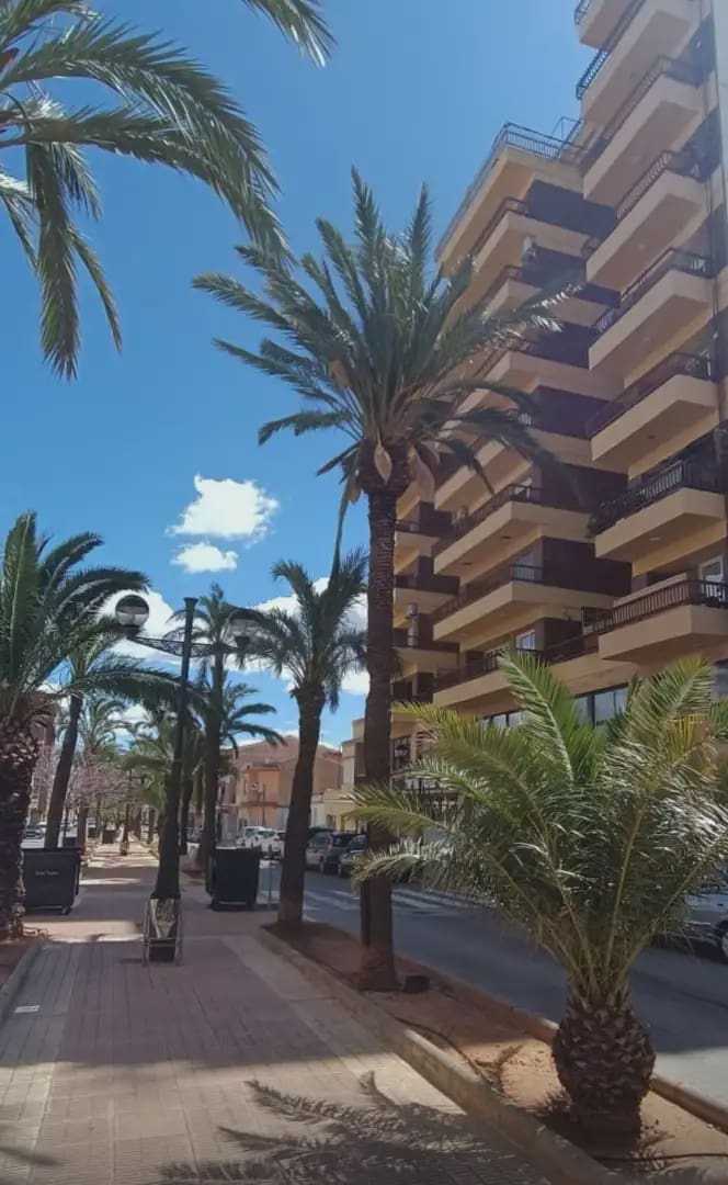 3 bedroom Flat for sale in Alginet with garage - € 169,000 (Ref: 9877874)