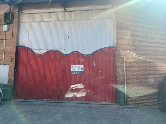 Business for sale in Valdeolleros, Córdoba city - € 346,000 (Ref: 9901490)