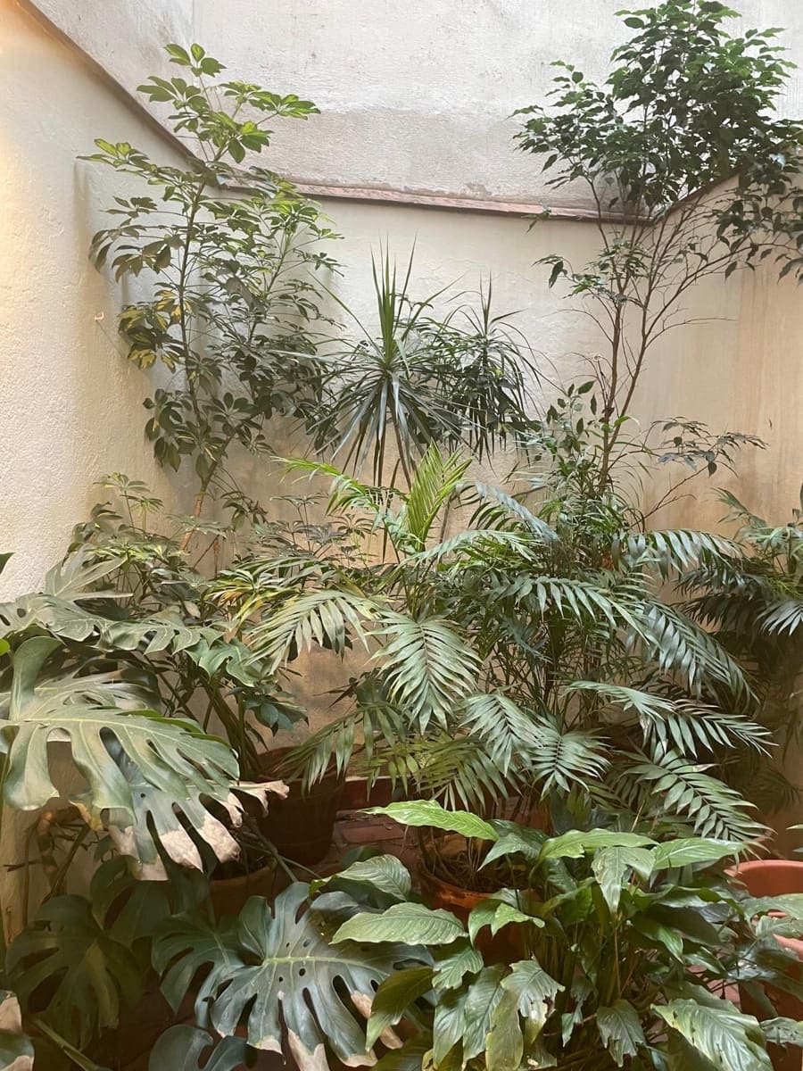 1 Zimmer Wohnung zu vermieten in Cordoba Stadt - 740 € (Ref: 9901522)