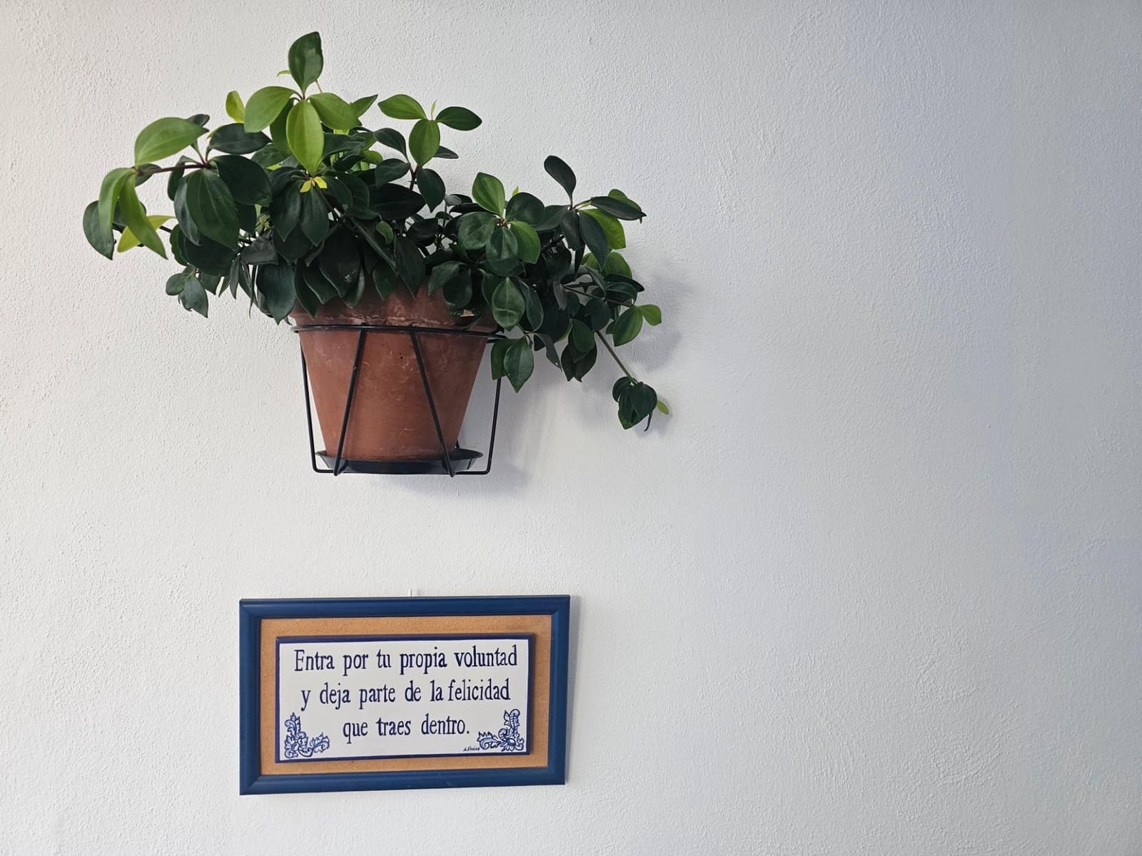 3 bedroom Apartment for sale in Cordoba city - € 219,000 (Ref: 9901523)
