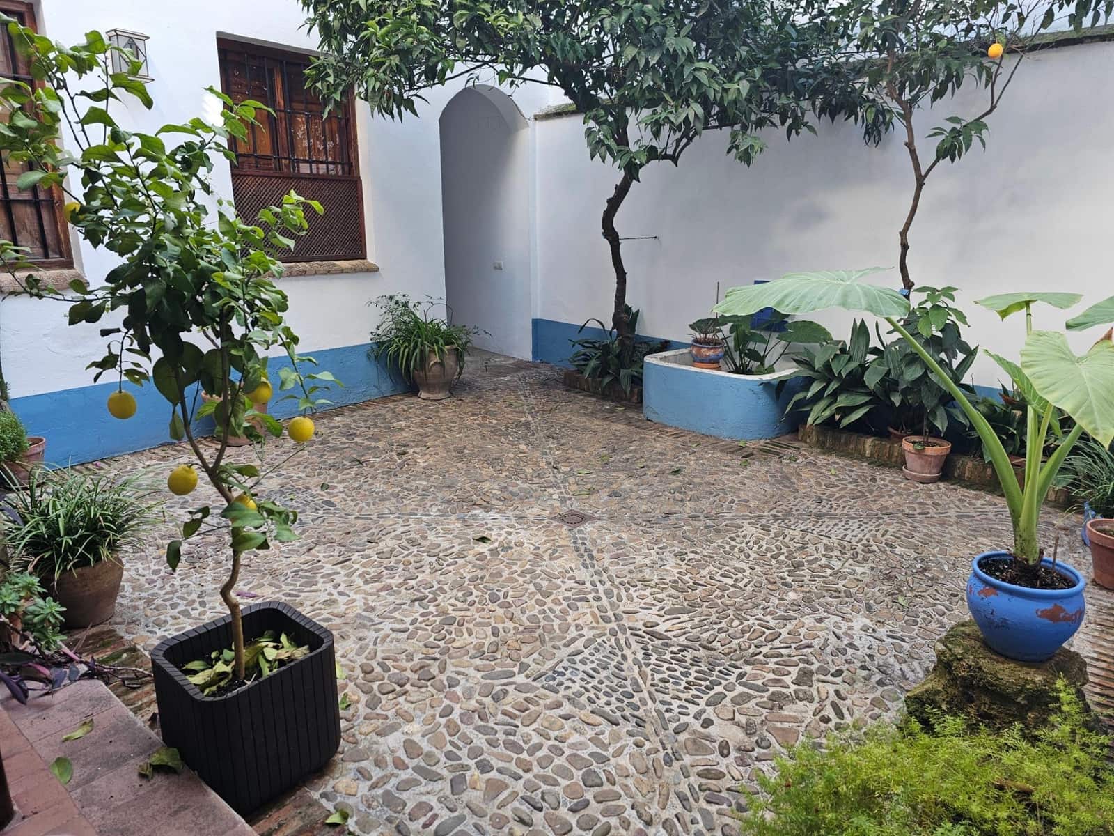 3 bedroom Apartment for sale in Cordoba city - € 219,000 (Ref: 9901523)