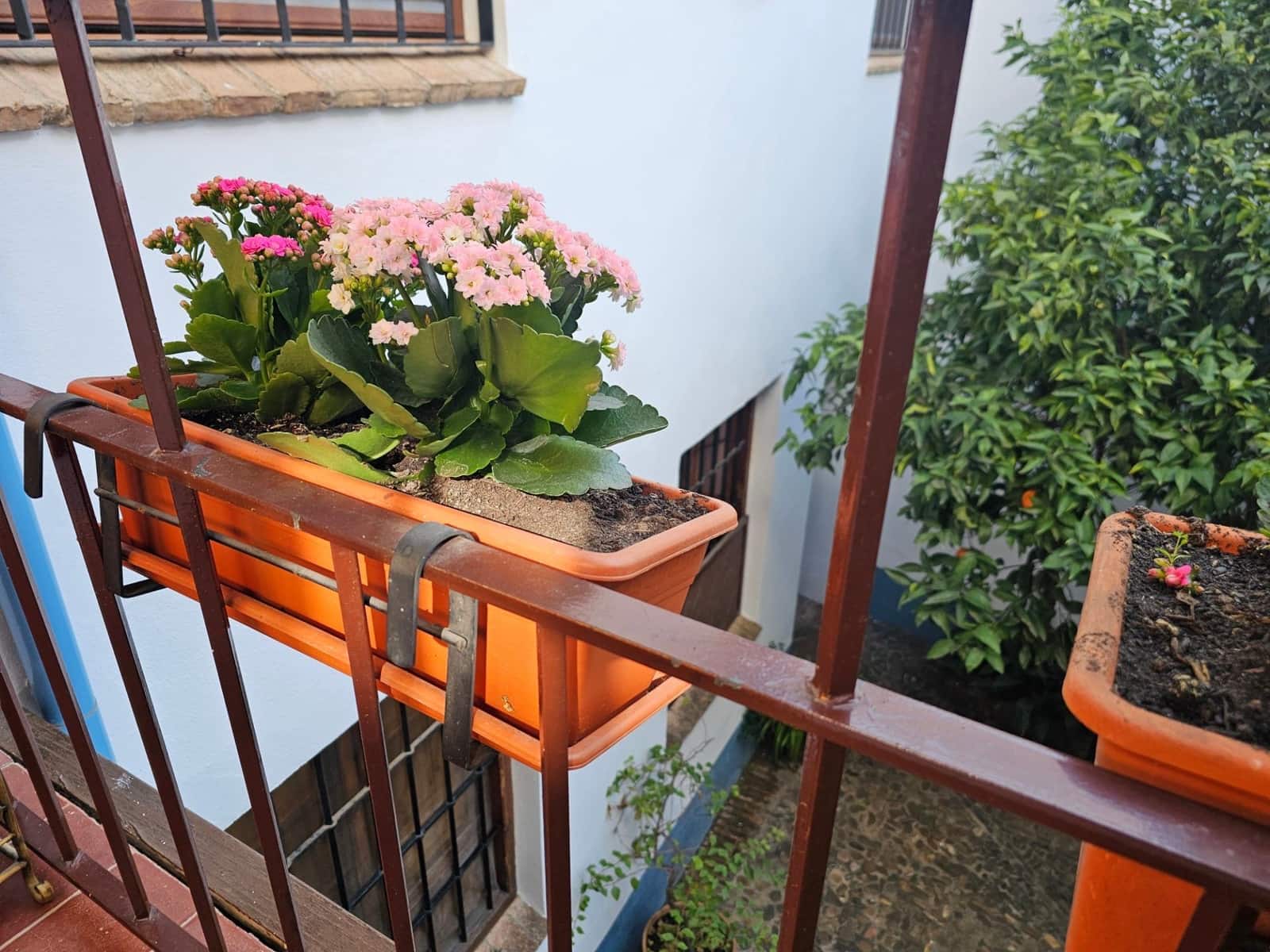 3 bedroom Apartment for sale in Cordoba city - € 219,000 (Ref: 9901523)
