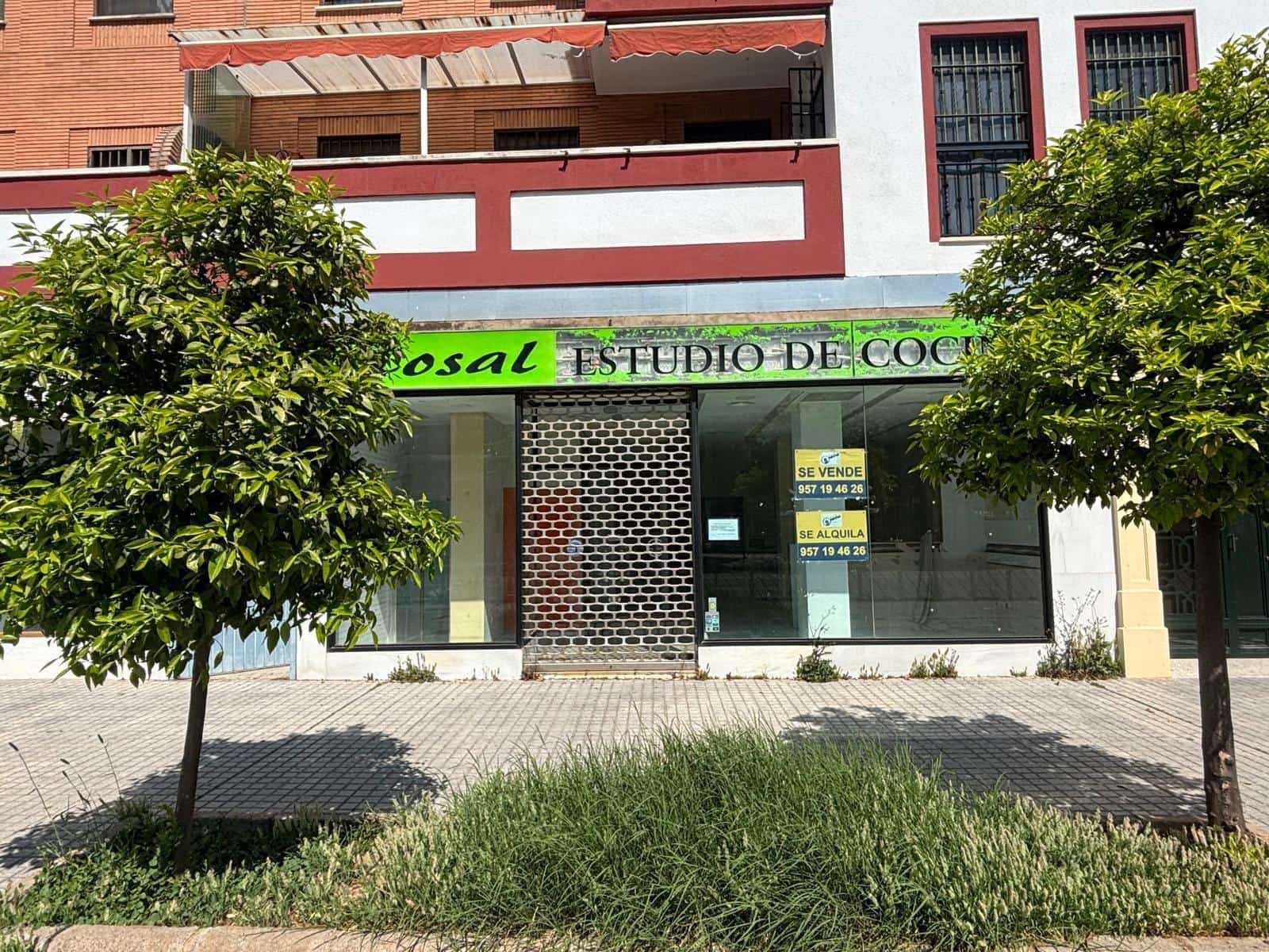 3 bedroom Commercial for sale in Cordoba city - € 299,999 (Ref: 9901533)