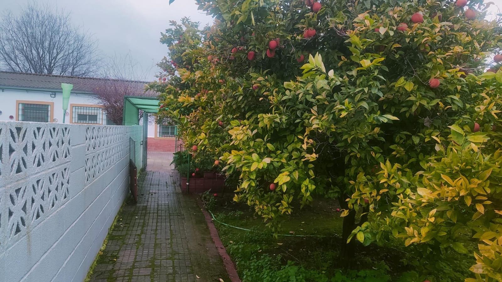 3 quarto Moradia para venda em Cordova cidade com piscina - 225 000 € (Ref: 9901552)