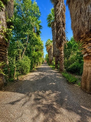 10 soverom Finca/Herregård til salgs i Córdoba by med svømmebasseng garasje - € 650 000 (Ref: 9901570)