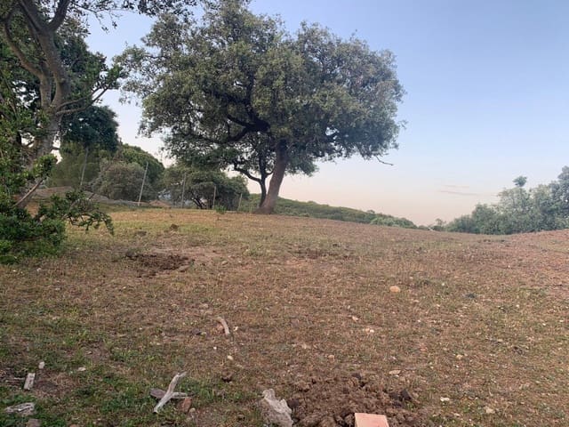 Tomt till salu i Córdoba stad - 158 000 € (Ref: 9901572)