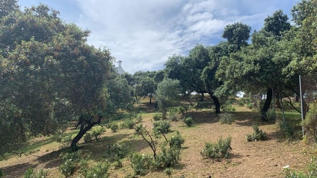 Tomt till salu i Córdoba stad - 158 000 € (Ref: 9901572)