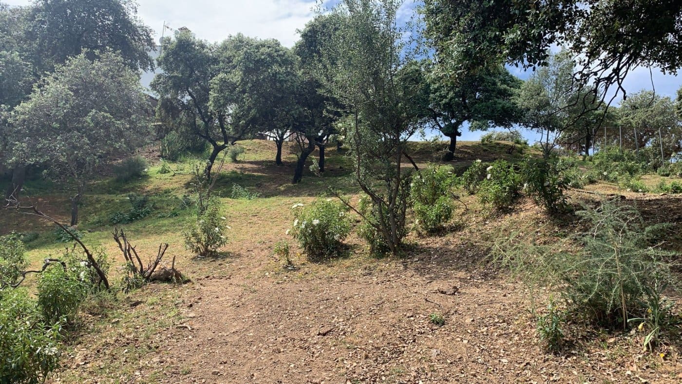 Działka budowlana na sprzedaż w Miasto Kordoba - 158 000 € (Ref: 9901572)