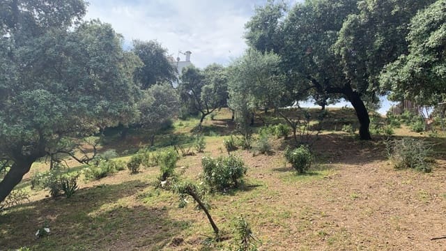 Tomt till salu i Córdoba stad - 158 000 € (Ref: 9901572)