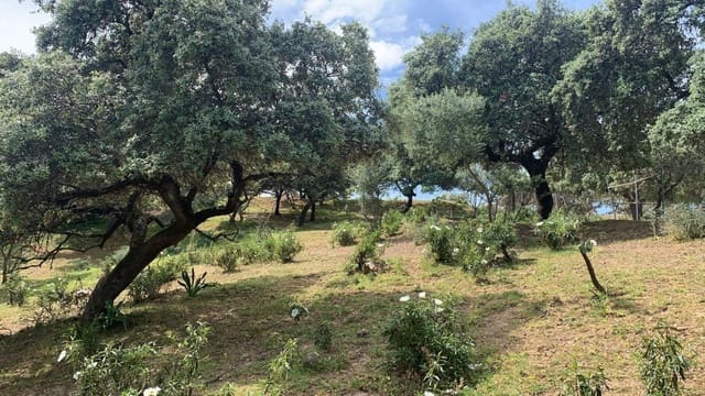 Tomt till salu i Córdoba stad - 158 000 € (Ref: 9901572)