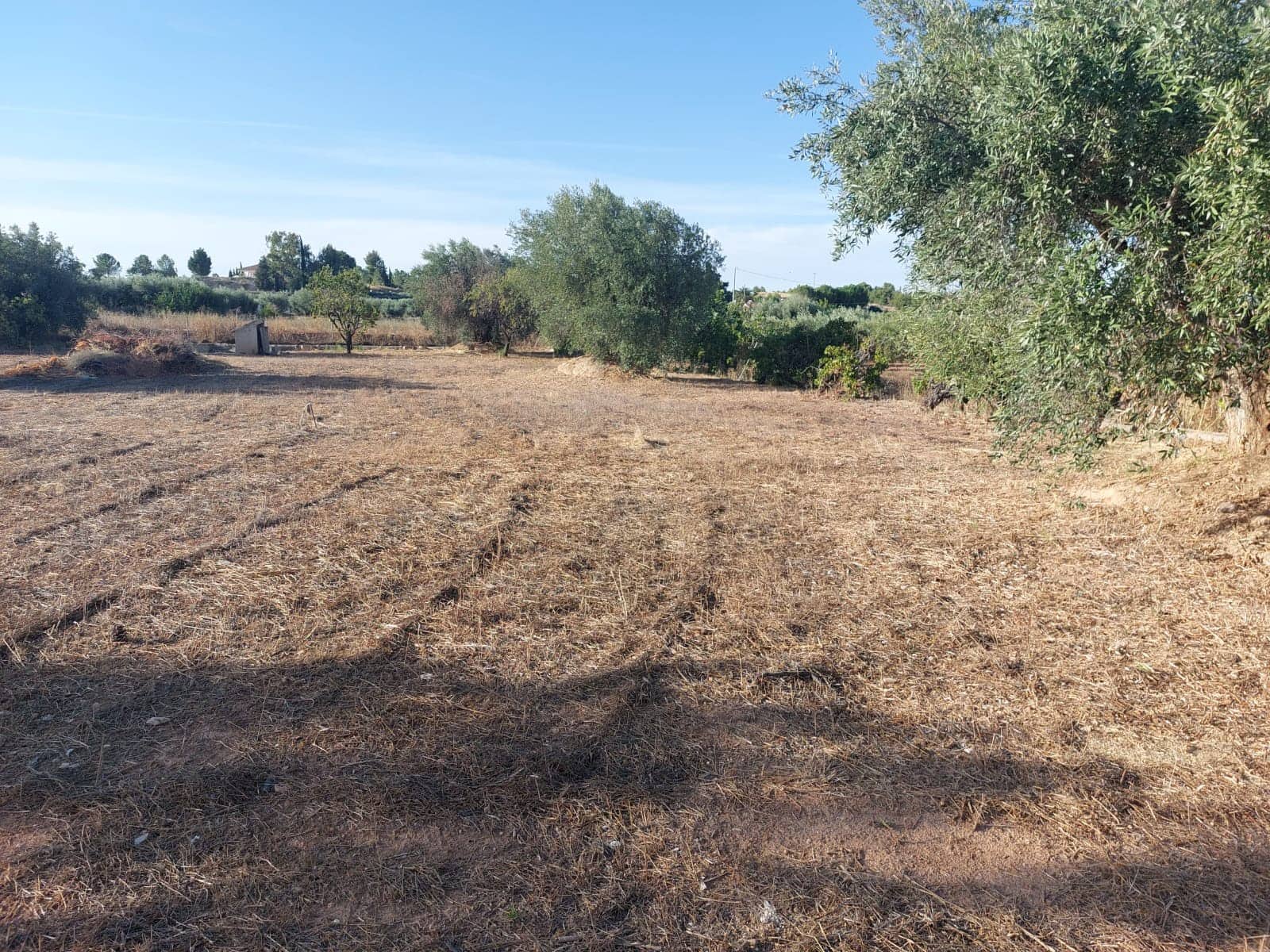 4 soveværelse Rækkehus til salg i Cehegin med swimmingpool garage - € 385.000 (Ref: 9706016)