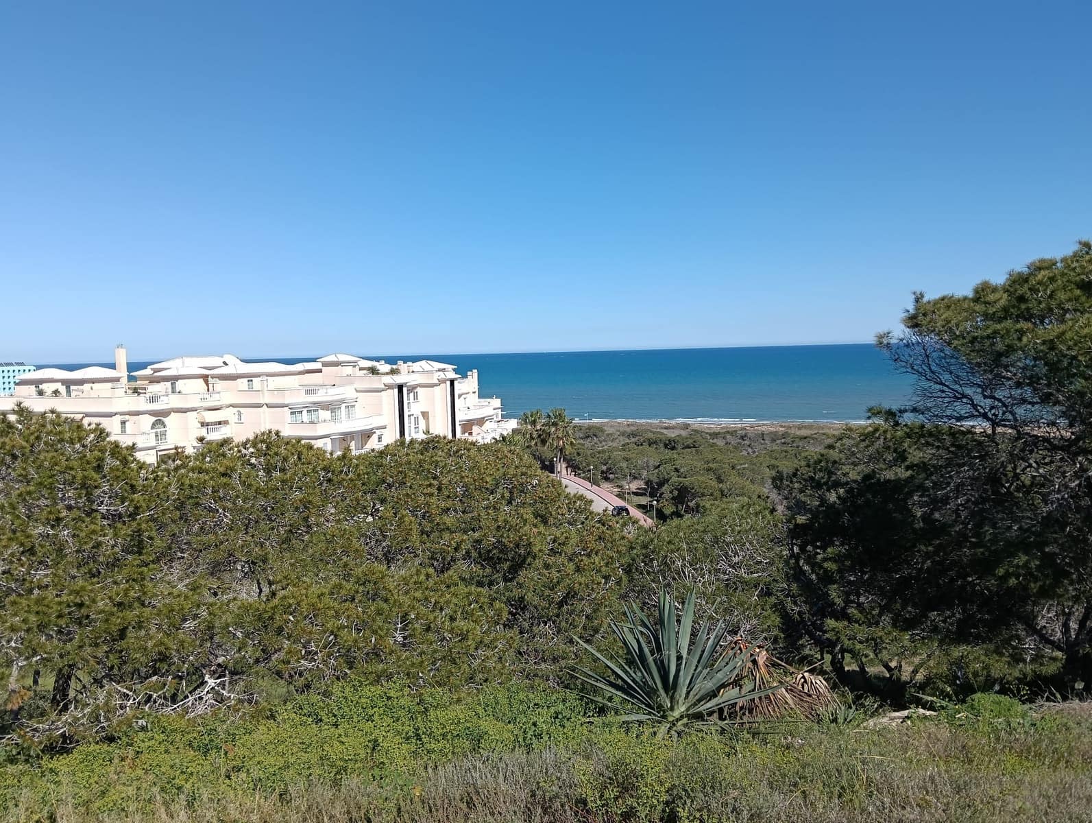 2 Zimmer Bungalow zu verkaufen in Guardamar del Segura mit Pool - 134.000 € (Ref: 9706040)