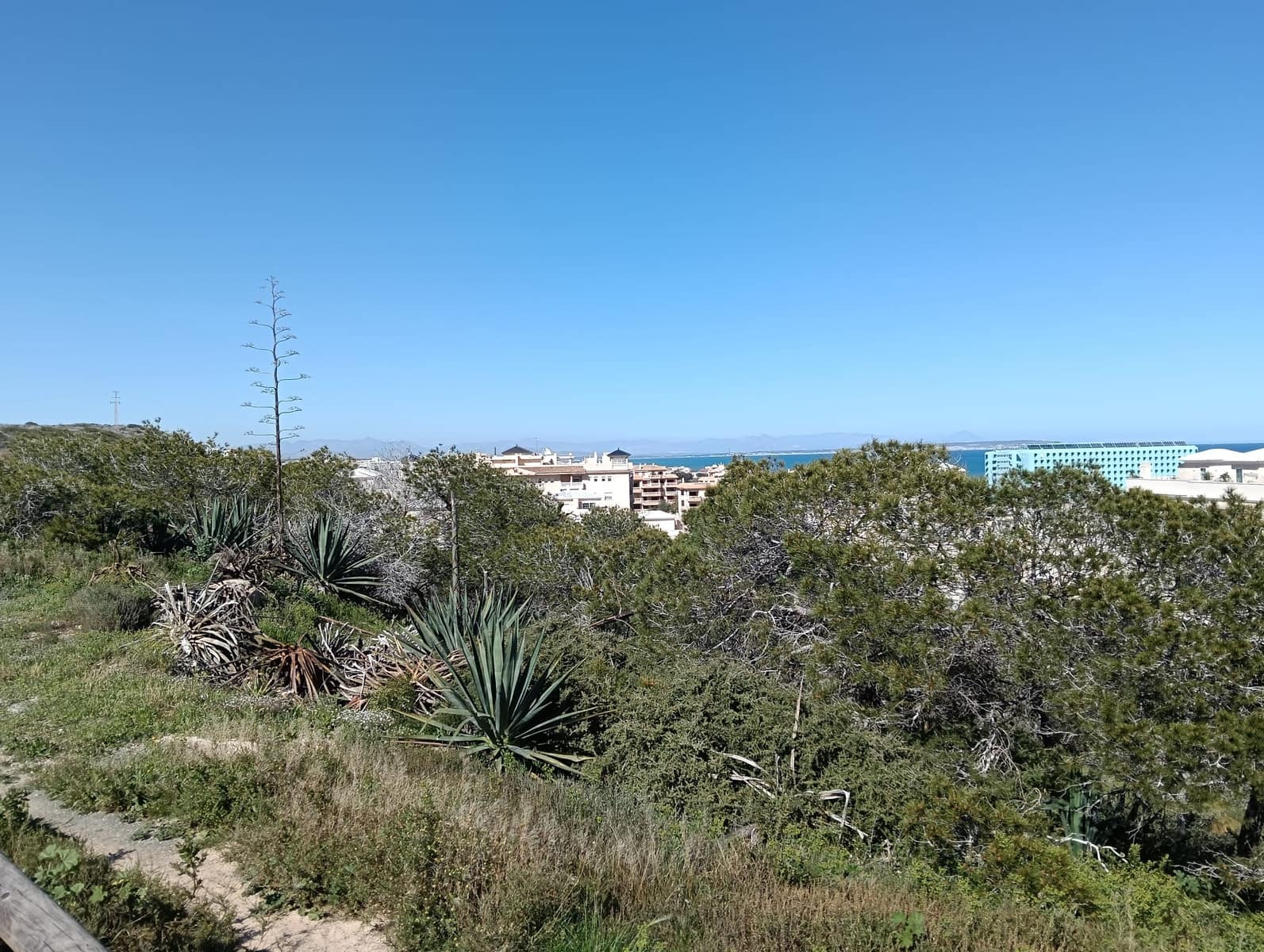 2 Zimmer Bungalow zu verkaufen in Guardamar del Segura mit Pool - 134.000 € (Ref: 9706040)